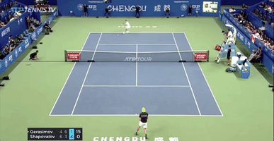 Shapovalov Extends the Point