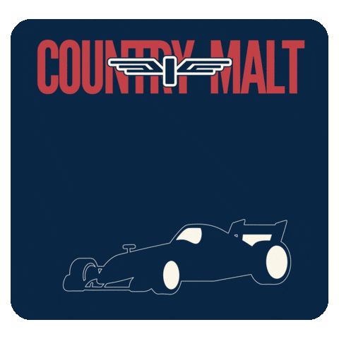 Beer Cheers GIF by Country Malt Group