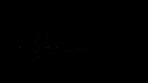 swissroundnet giphyupload switzerland roundnet spikeball GIF