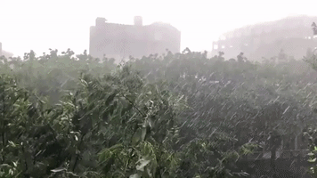 Late June Thunderstorm and Hail Hits Brooklyn, New York