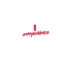Sexy Experience Sticker by Erotic Exxxperience