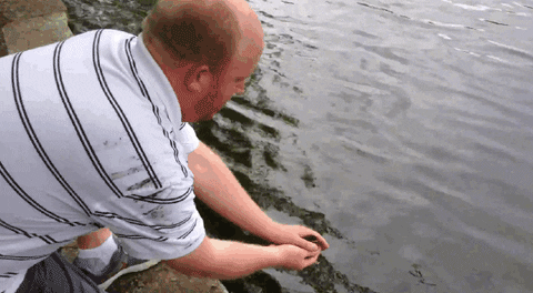 GIF by Mashable