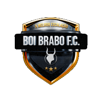 Futebol Escudo Sticker by Boi Brabo