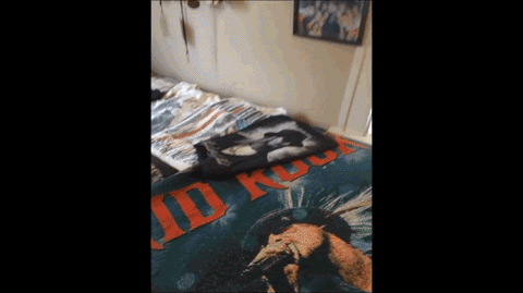 rock GIF