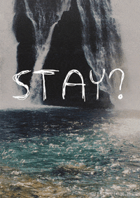 stay GIF