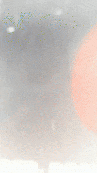 Laika GIF by Youtooz