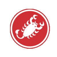 Bike Ciclismo Sticker by Castelli Cycling