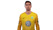 World Cup Football Sticker by VfL Wolfsburg