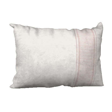 Blush Pillow Sticker by Beyond Just Beige