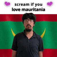 Mauritania Flag Mr GIF