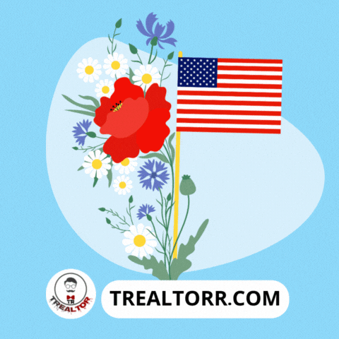 Real Estate Usa GIF by Trealtorr