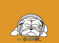 English Bulldog Dog GIF