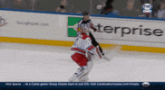 Happy Carolina Hurricanes GIF by NHL