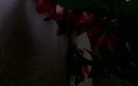 Art Video GIF by jorgemariozuleta