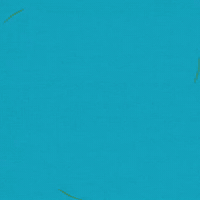 Good Morning Fun GIF