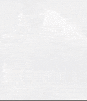 Elite Ball Knowledge GIF