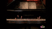 vidiots_official music movie film wtf GIF