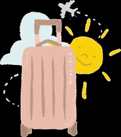 sigiskin travel luggage sigiskin dew potion GIF
