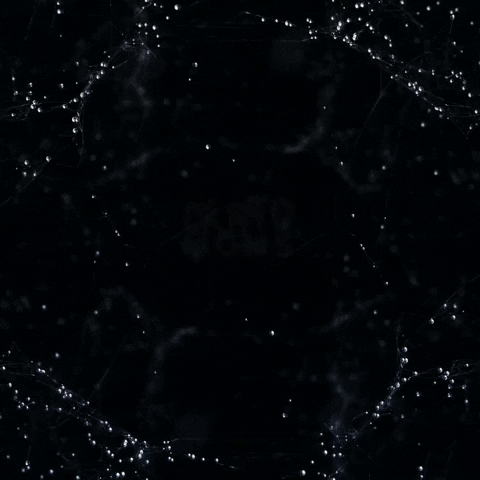 anthonytaylor-d7a1 giphygifmaker GIF