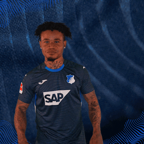 Sport Bundesliga GIF by TSG Hoffenheim