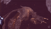 Stand Up Magic GIF by Xbox