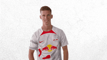 Lets Go Yes GIF by RB Leipzig