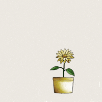 Flower Love GIF by Luke Alexander