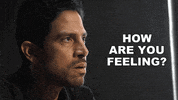 Bau GIF by Paramount+