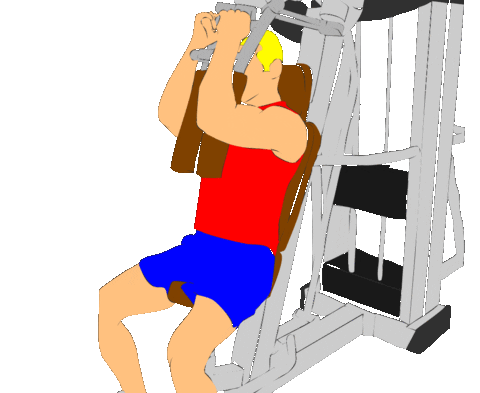 Fitness Workout Sticker