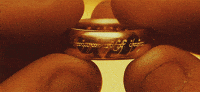 Lord Of The Rings GIF