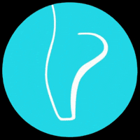 perfectfitpointe dance dancer ballet ballerina GIF