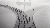 Everybody Walking Left 1 Walking Right GIF