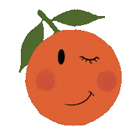 Paperstry winter fruit clementine paperstry Sticker