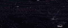 Film Applause GIF by Taylor Swift