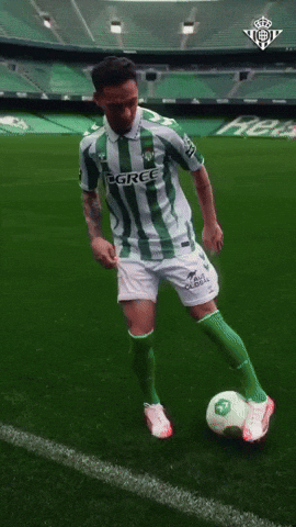 Mateohayo giphyupload GIF