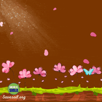 Abbraccio GIF by Conscious Planet - Save Soil