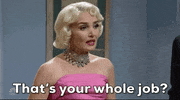 Snl GIF by Saturday Night Live