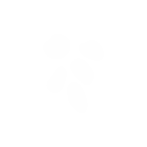 Text Sticker by EmPlanta