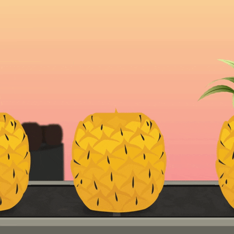 totemy giphyupload pineapple factory GIF