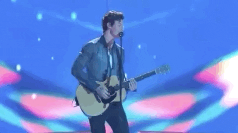 Shawn Mendes Vmas 2019 GIF by 2018 MTV Video Music Awards