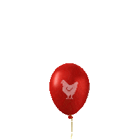 soedidee feest ballon kip soed Sticker