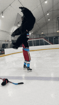 Fight Hockey GIF by heroboard fitnes