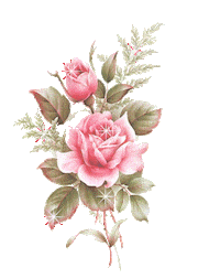 rose STICKER
