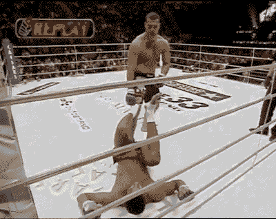 pecanac giphyupload GIF