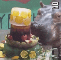Hungry Feed Me GIF by NowThis