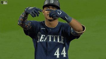 Major League Baseball Sport GIF by MLB