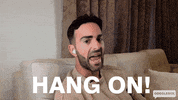Hang On What GIF by Gogglebox Australia