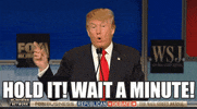 Hold It Donald Trump GIF