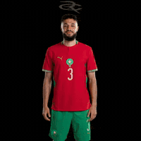 Fifa World Cup Morocco GIF by Respective