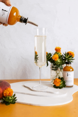 kayleenedley giphygifmaker GIF